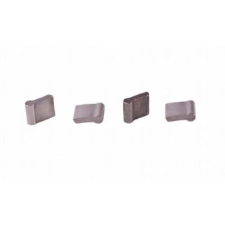 SHADOW SYMBOL / RAPTOR II CASSETTE HUB PAWLS EACH 1 Stk.