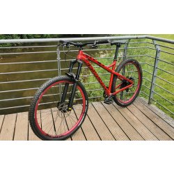 Dartmoor Primal 29" DieZwei-Bikes Edition