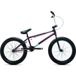 DK CYGNUS 20.5"TT purple