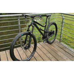 Dartmoor Bluebird 29 "DieZwei-Bikes Edition